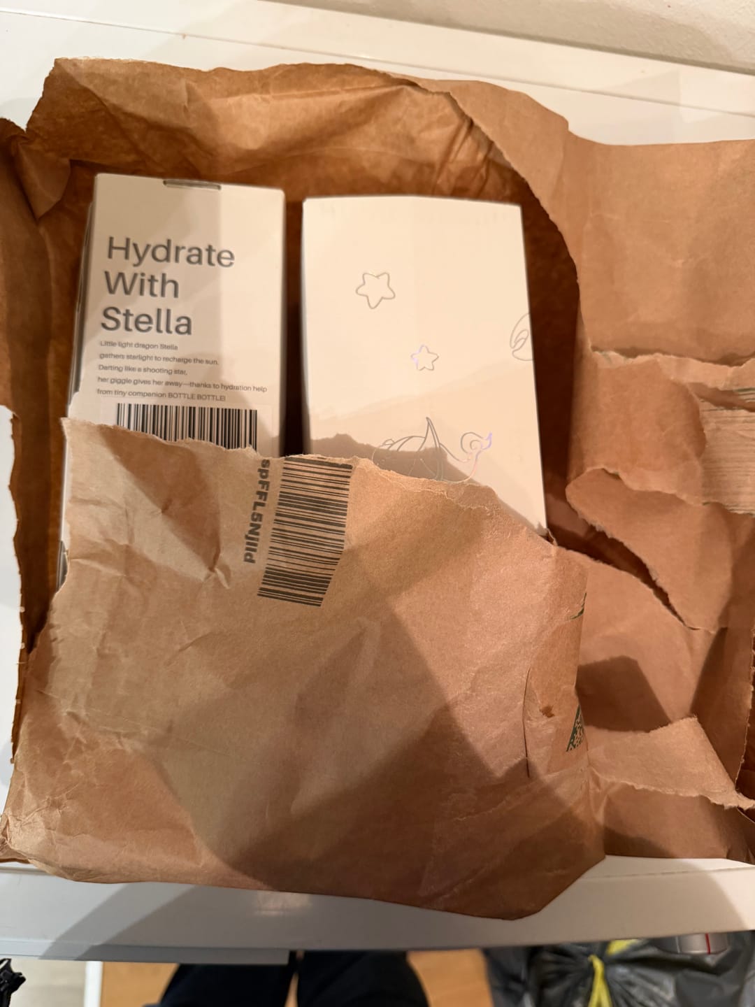 Customer photo review of Blind Box