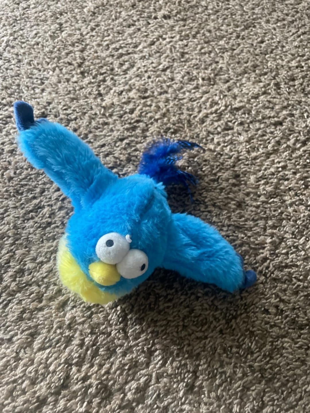 Customer photo review of Flying Bird 2.0