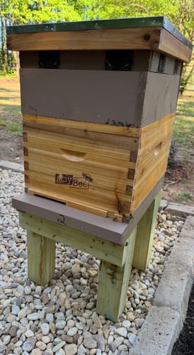 Customer photo review of MayBee Hives 10 Frame 4 Layer Cedar Wood Beehive Dipped in 100% Beeswax, Include 2 Deep Bee Boxes 2 Medium Super Bee Boxes with Pine Wooden Frames and Beeswax Plastic Foundation,Complete beehive kits