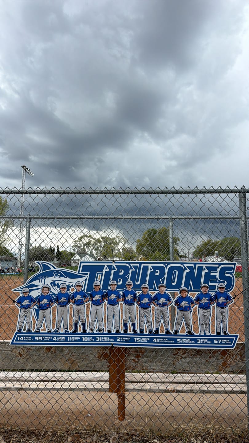Customer photo review of Dugout Signs