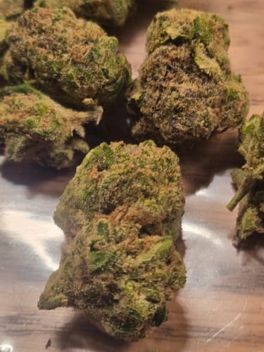 Customer photo review of Alaskan Thunder Fuck Indoor - Bulk - Sativa