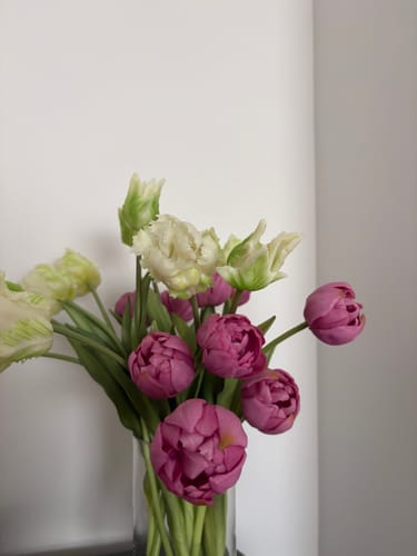 Customer photo review of Plum real touch tulips