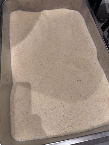 Customer photo review of 1 Month Supply – 2 Cat