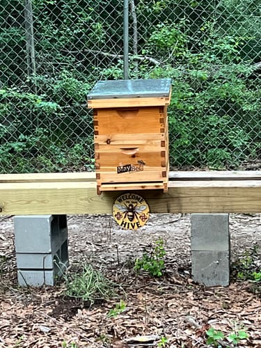 Customer photo review of MayBee Hives Standard 8 Frame 2 Layer Langstroth Beehive Dipped in 100% Beeswax Include 1 Deep Brood Box and 1 Super Box with Pine Wooden Frames and Beeswax plastic Foundation