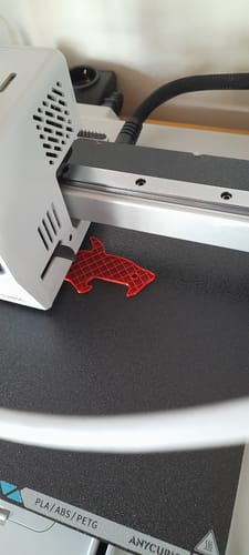 Customer photo review of Anycubic Kobra X