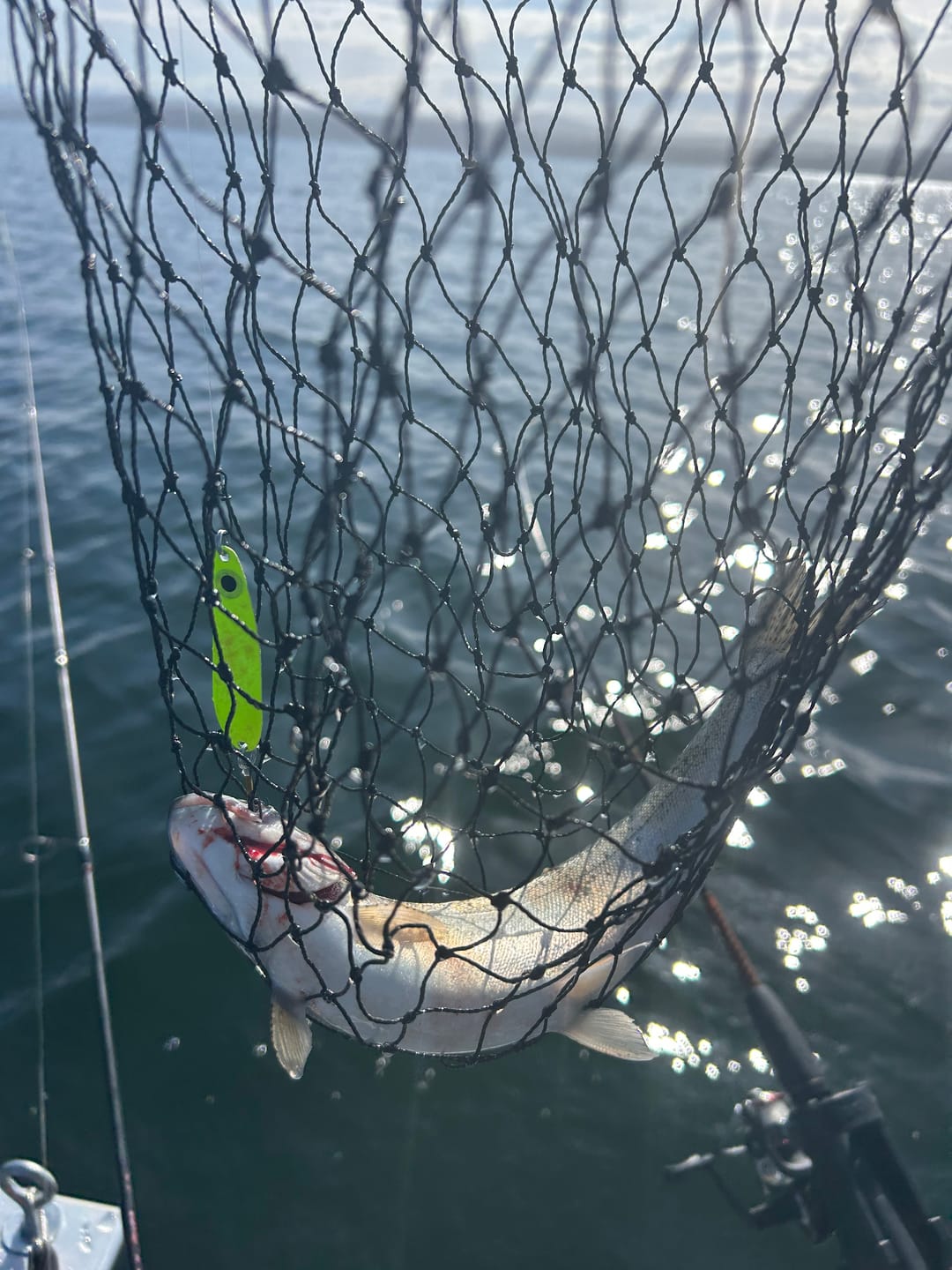 Customer photo review of Trigger Spoon