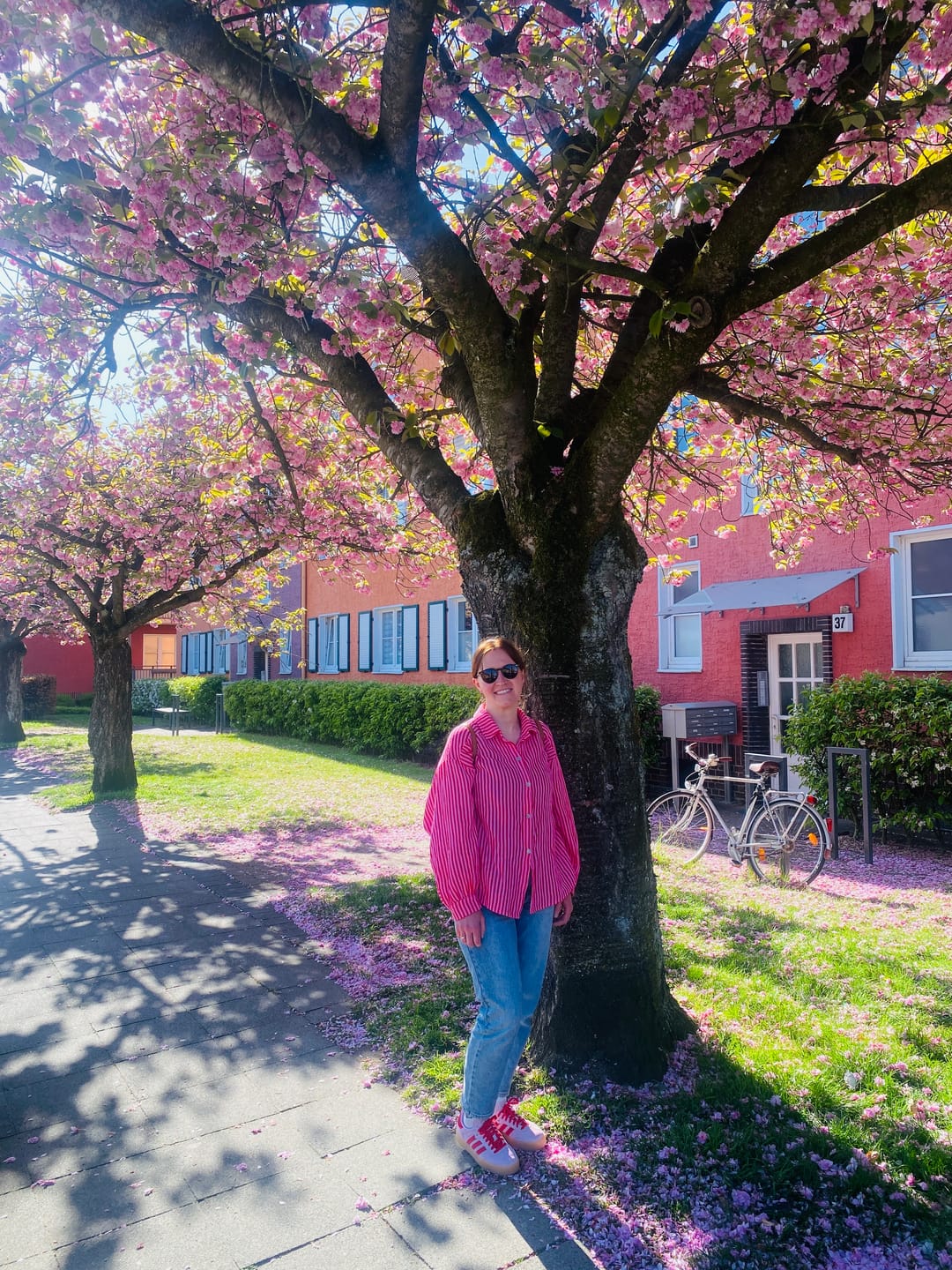 Customer photo review of Musselinbluse THIN LINES rosa-rot