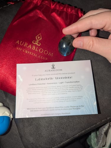 Reviewer holds the polished Labradorite Moonstone from their VIP Crystal Club delivery, with the info card and pouch.