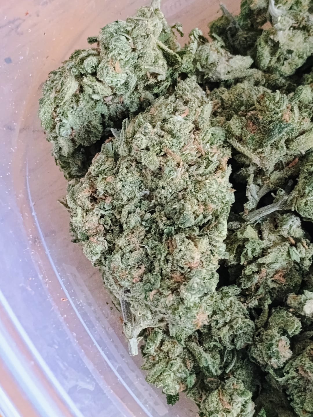 Customer photo review of Rainbow Sherbet - 28 Grams - Hybrid