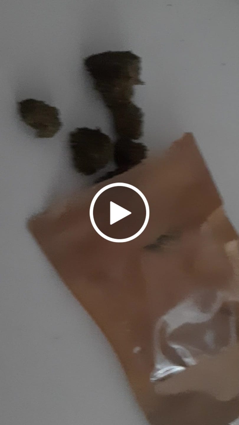 Customer video review of Amnesia Runtz 9H-HHC Cali Blüte – Premium Indoor | Süß-fruchtiger Sativa-Hybrid