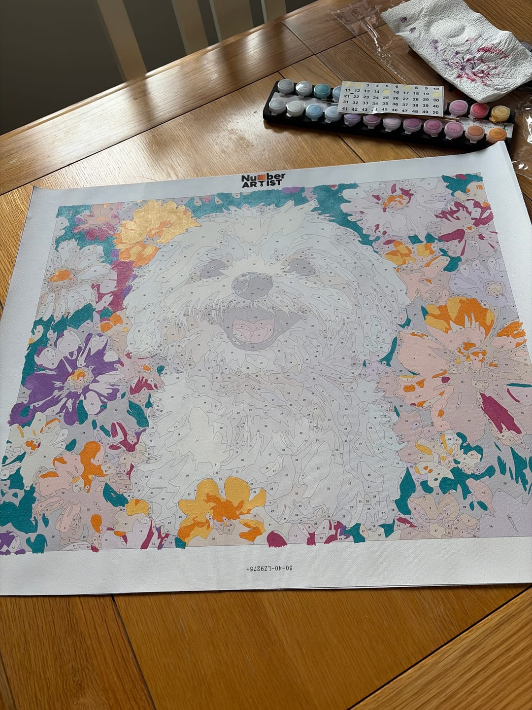 Customer photo review of Bichon Frise