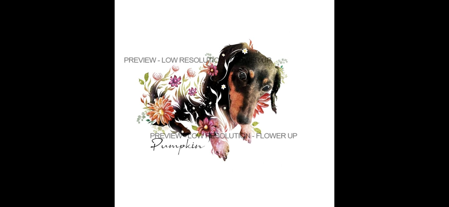 Customer photo review of Flowerpup Custom Pet Portrait (Humans too!)