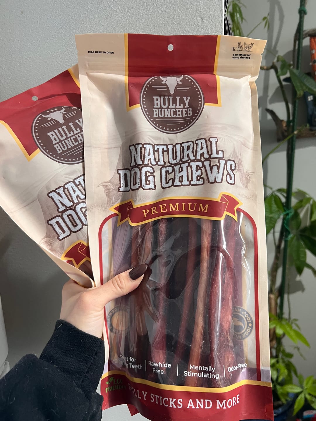 Customer photo review of 12 Inch Jumbo Bully Stick