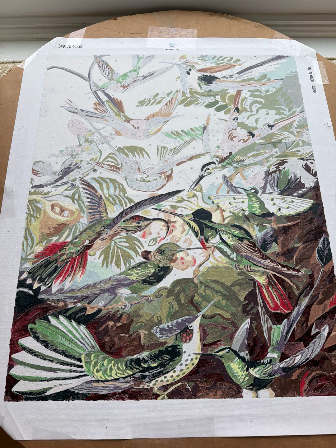 Customer photo review of Hummingbirds Trochilidae by Ernst Haeckel | Paint by Numbers