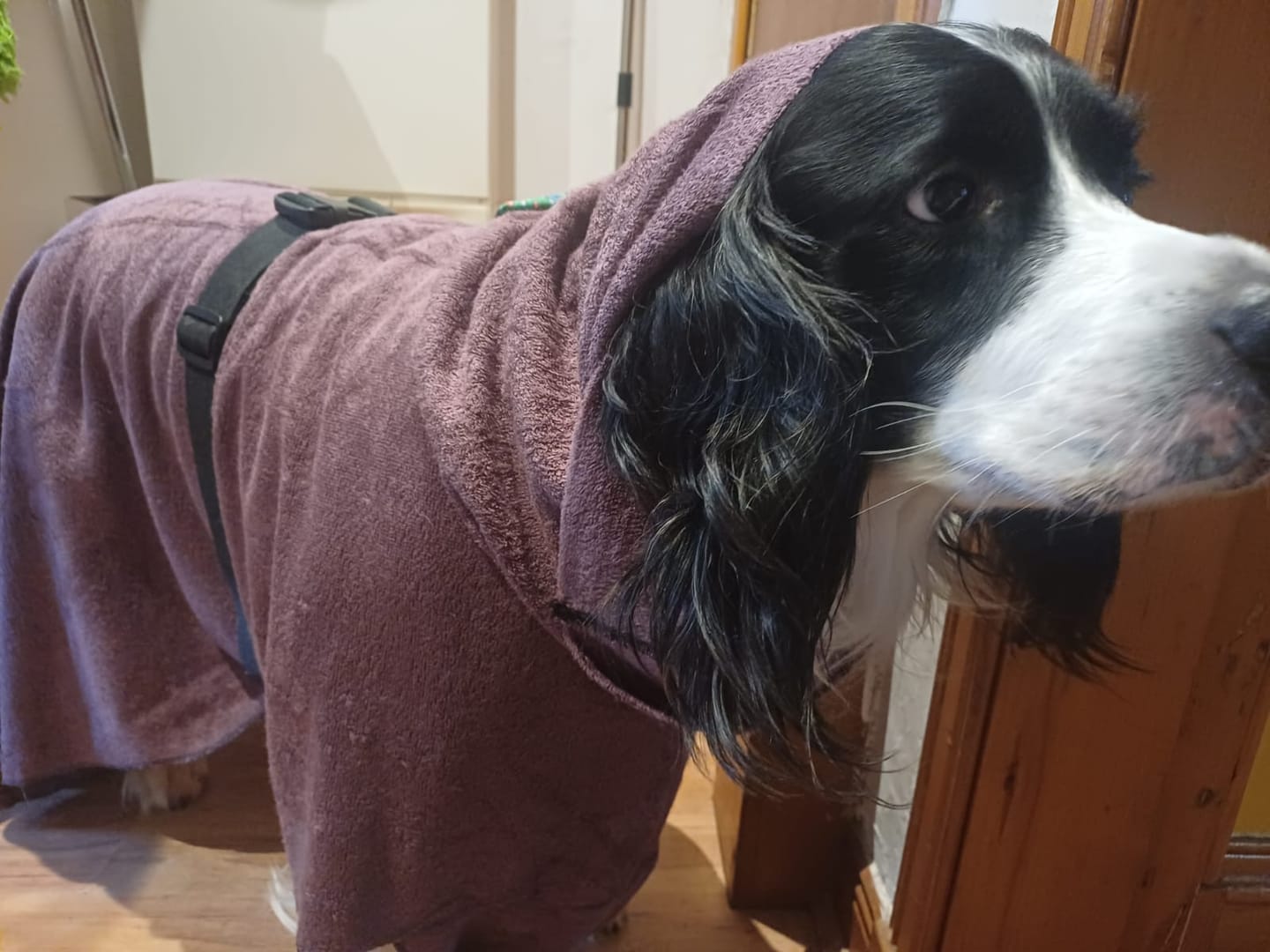 Customer photo review of Bamboo Towelling Fabric