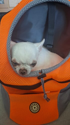 Kundenbewertung mit Foto zu Emmalove - Hunde-Rucksack