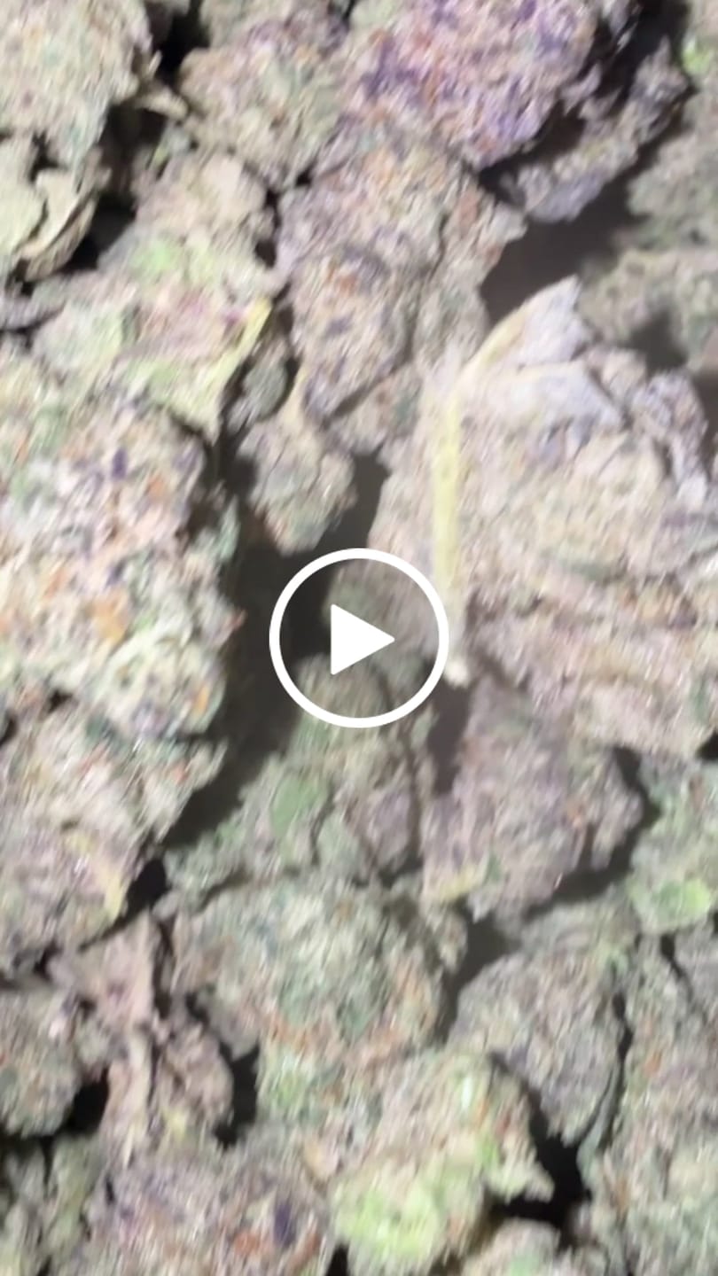 Customer video review of Blueberry Muffins - Bulk - Indica