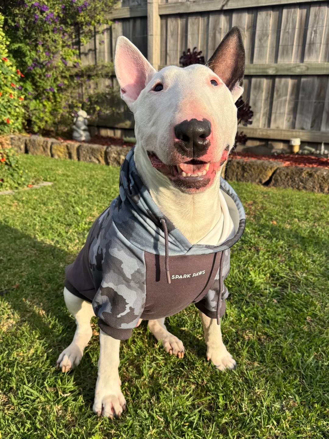 Customer photo review of Grey Camo Dog Hoodie