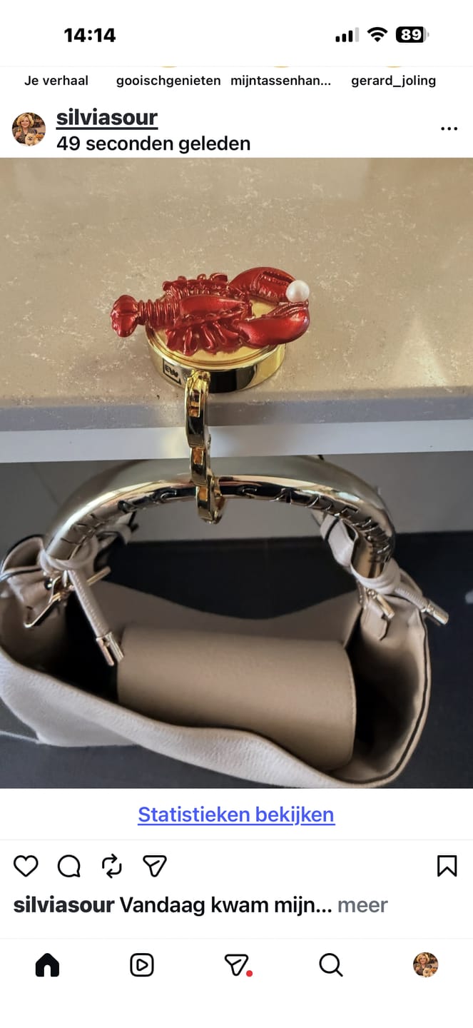 Customer photo review of Luxe Tassenhanger Velvet Bag