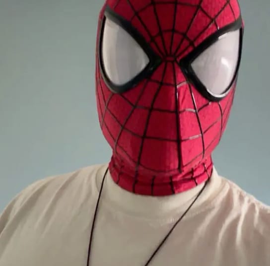 Customer photo review of The Amazing Spider-Man 2 Mask ( Cosplay Version)