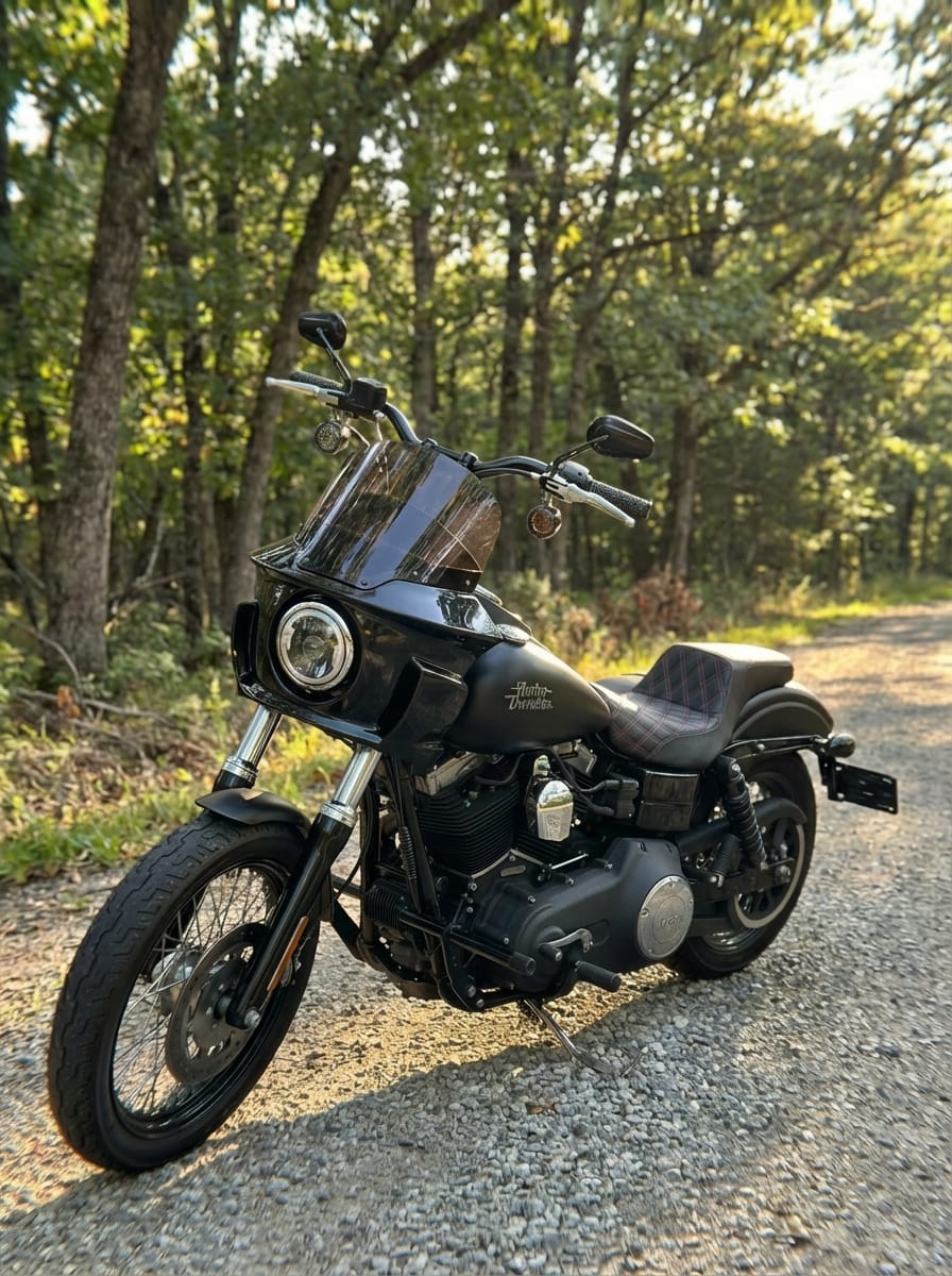 Customer photo review of Viking Darkin Motorcycle Fairing for Harley Dyna Street Bob FXDB Gloss Black