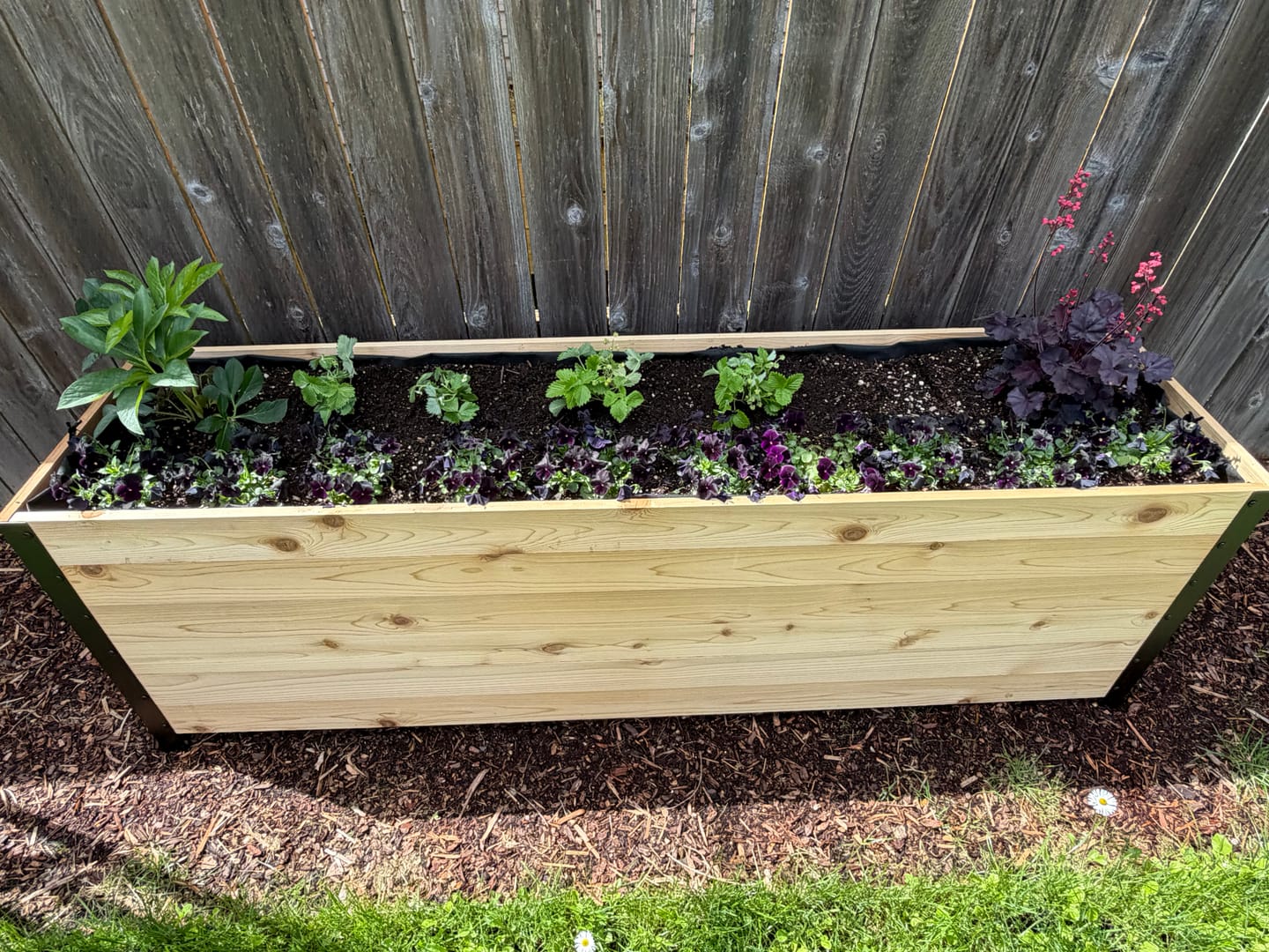Customer photo review of 18" x 72" Planter Box - 24" TALL / Select Grade