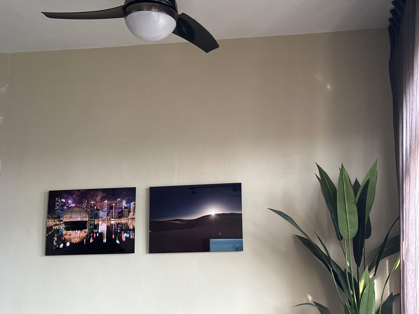 Customer photo review of Custom Photo Metal Print (Landscape)