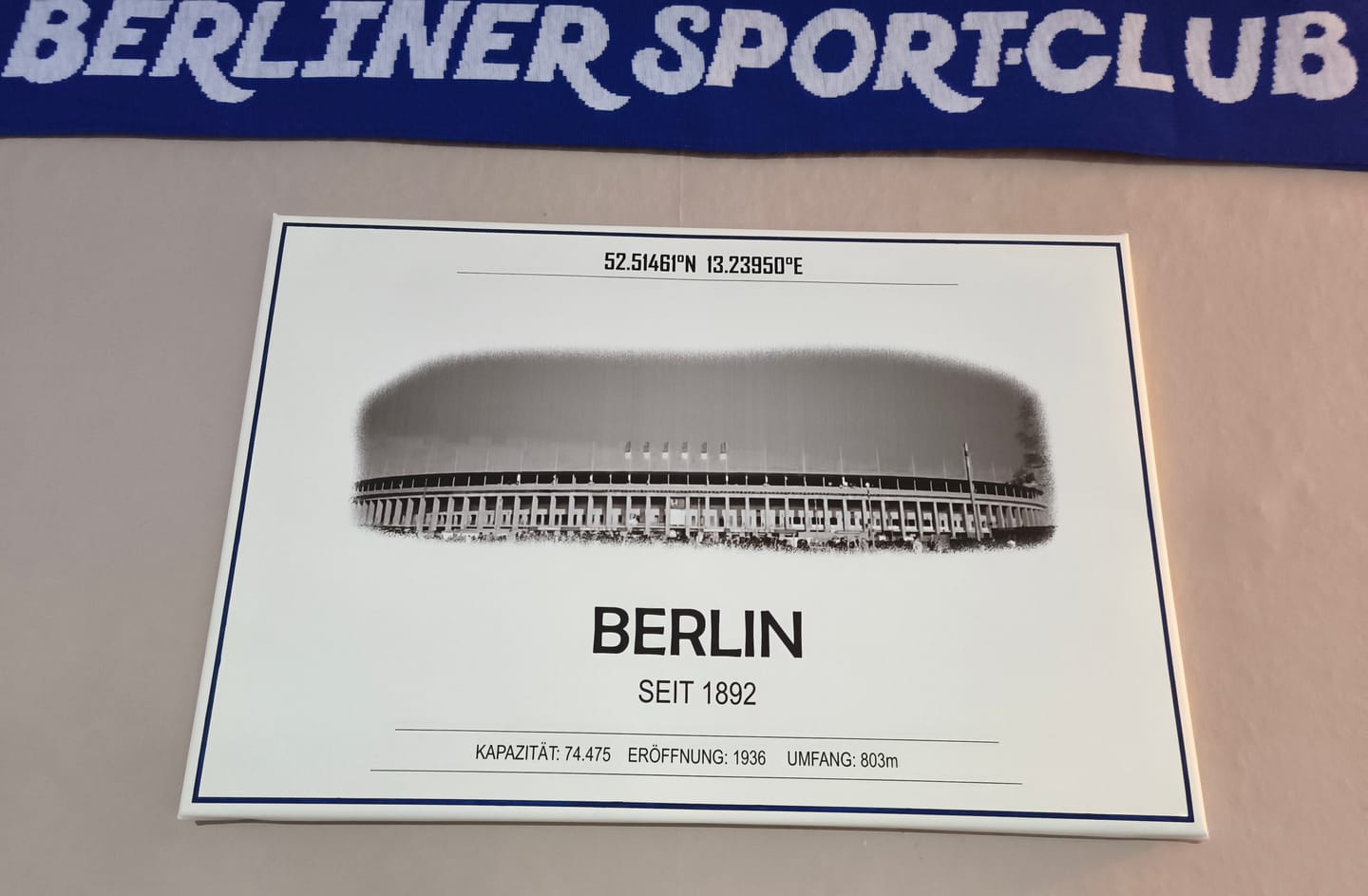 Customer photo review of Berlin Stadion Leinwand