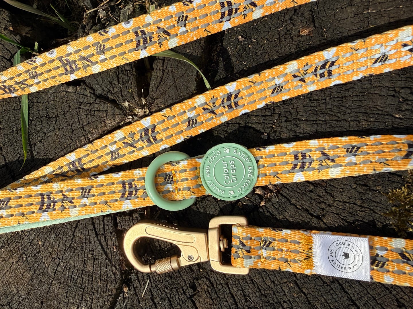 Customer photo review of Trail & Glow Dog Lead 5ft - Colour Drops - Wanna-Bee