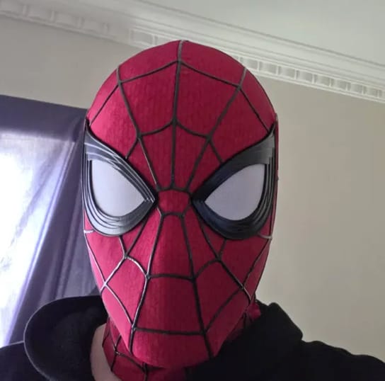 Customer photo review of Tobey Maguire Spider-Man Life Size Wearable Mask