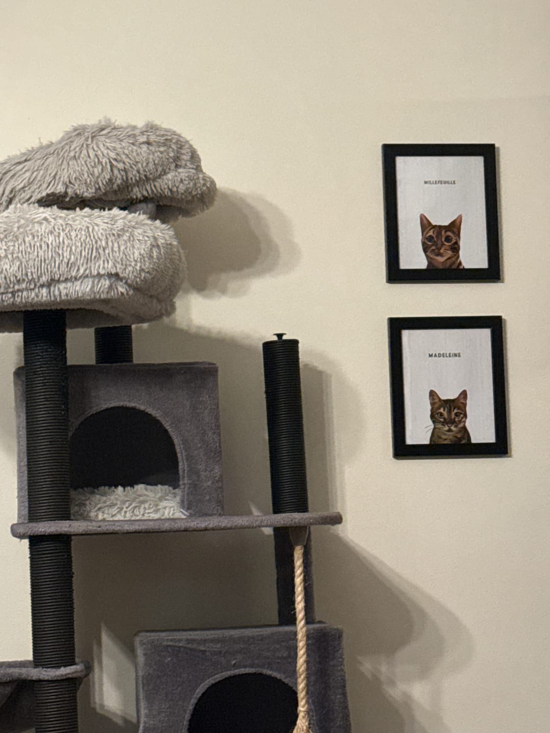 Customer photo review of Custom One Pet Portrait