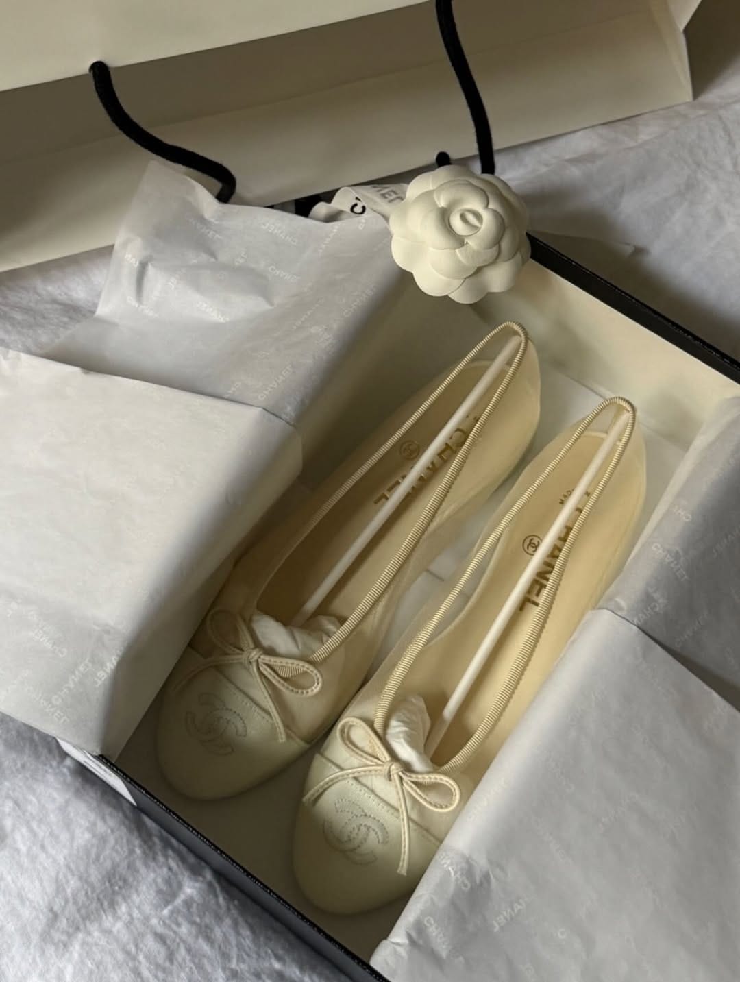 Customer photo review of Chanel 2026 Ballet Flat Mesh Leather