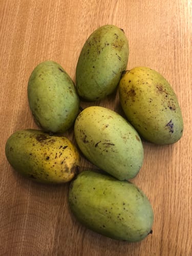 Kunde zeigt sechs grüne und gelbliche Bio-Mangos auf einer hölzernen Oberfläche.