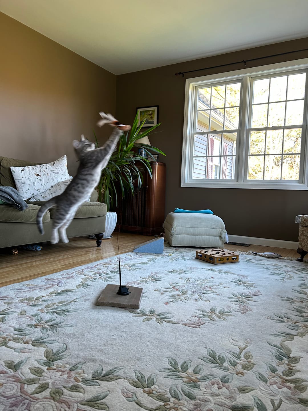 Customer photo review of Replacement Parts (for Interactive Bird Simulation Cat Toy)