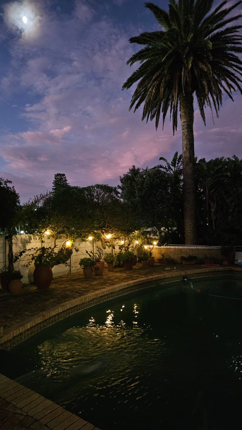Customer photo review of Solar Festoon Bulb String Lights