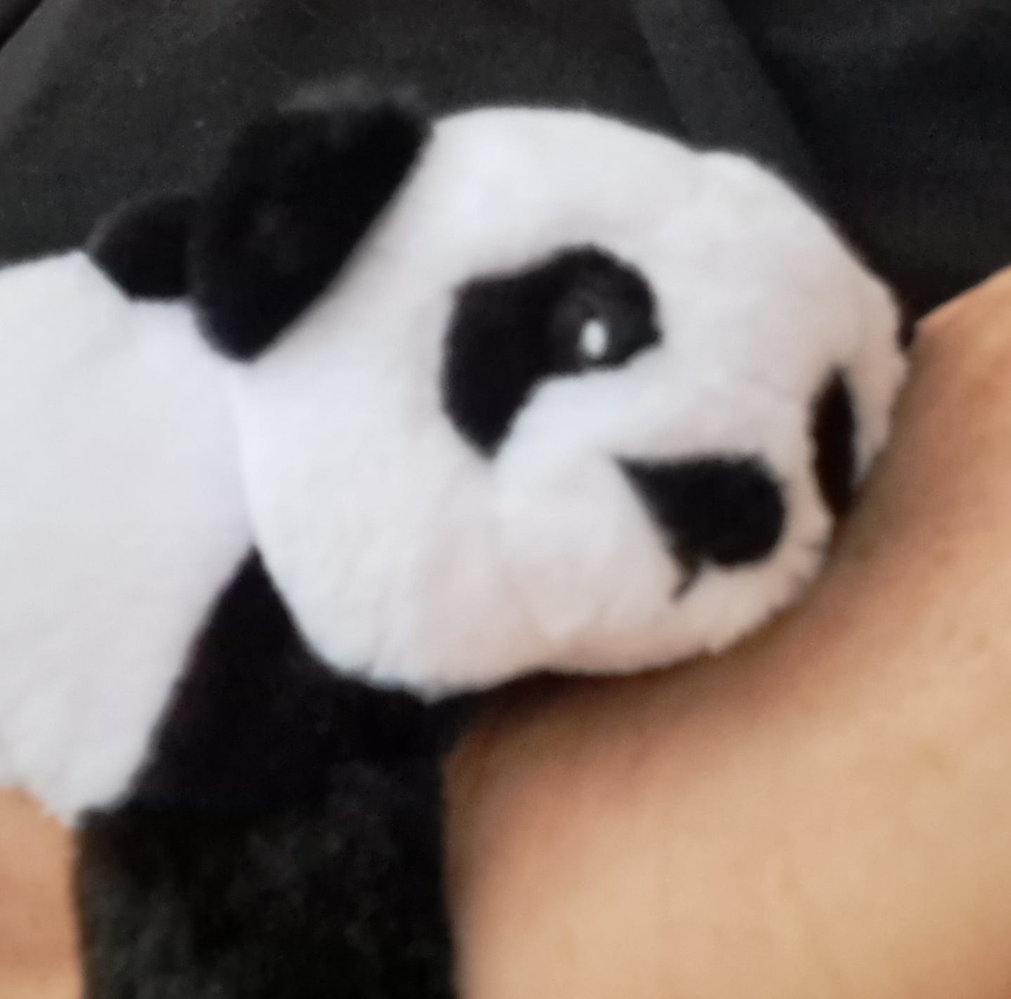 Customer photo review of Mini Panda & Kleding - Je bespaart €10