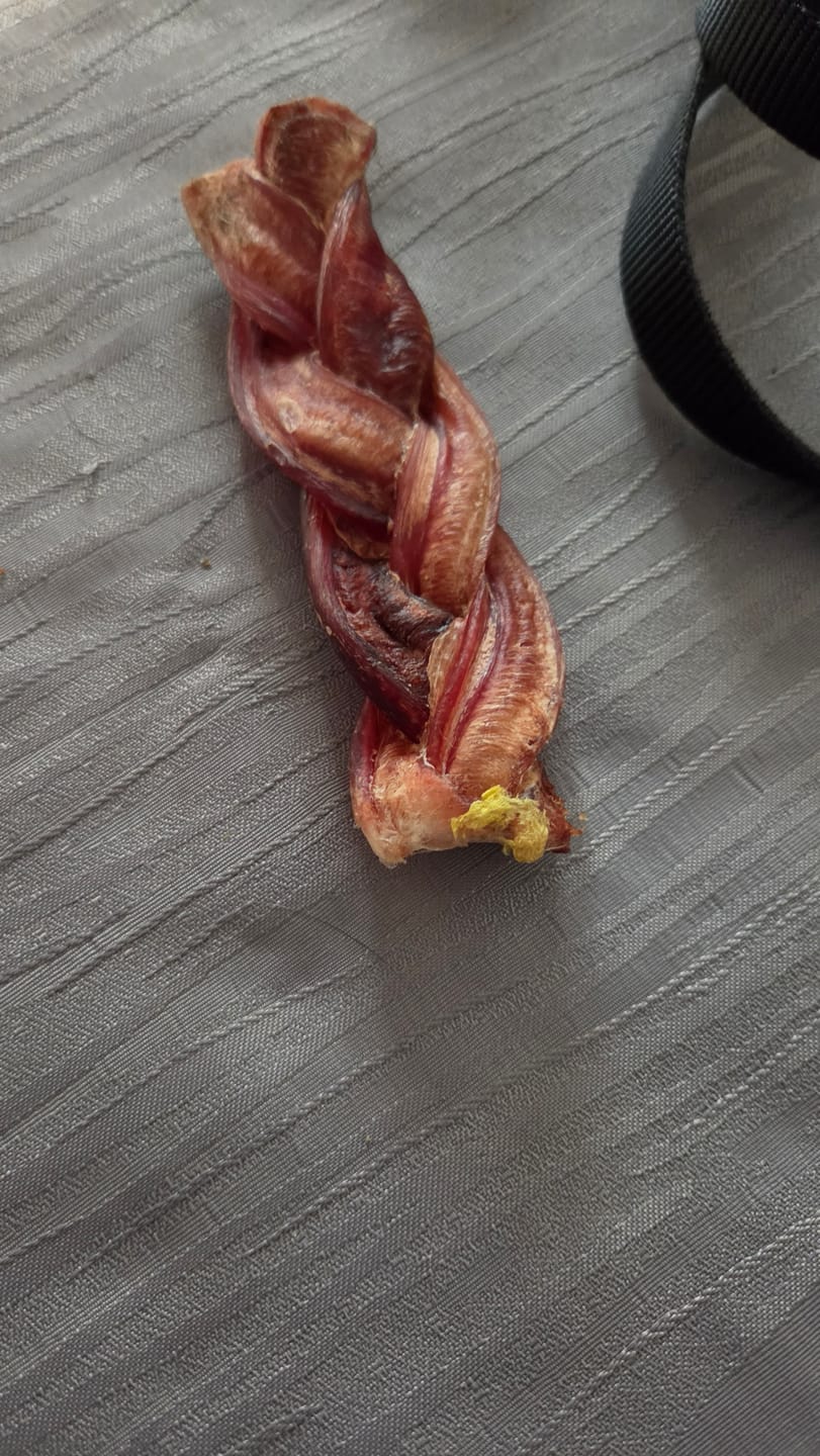 Customer photo review of 6 Inch Thick Braided Bully Stick