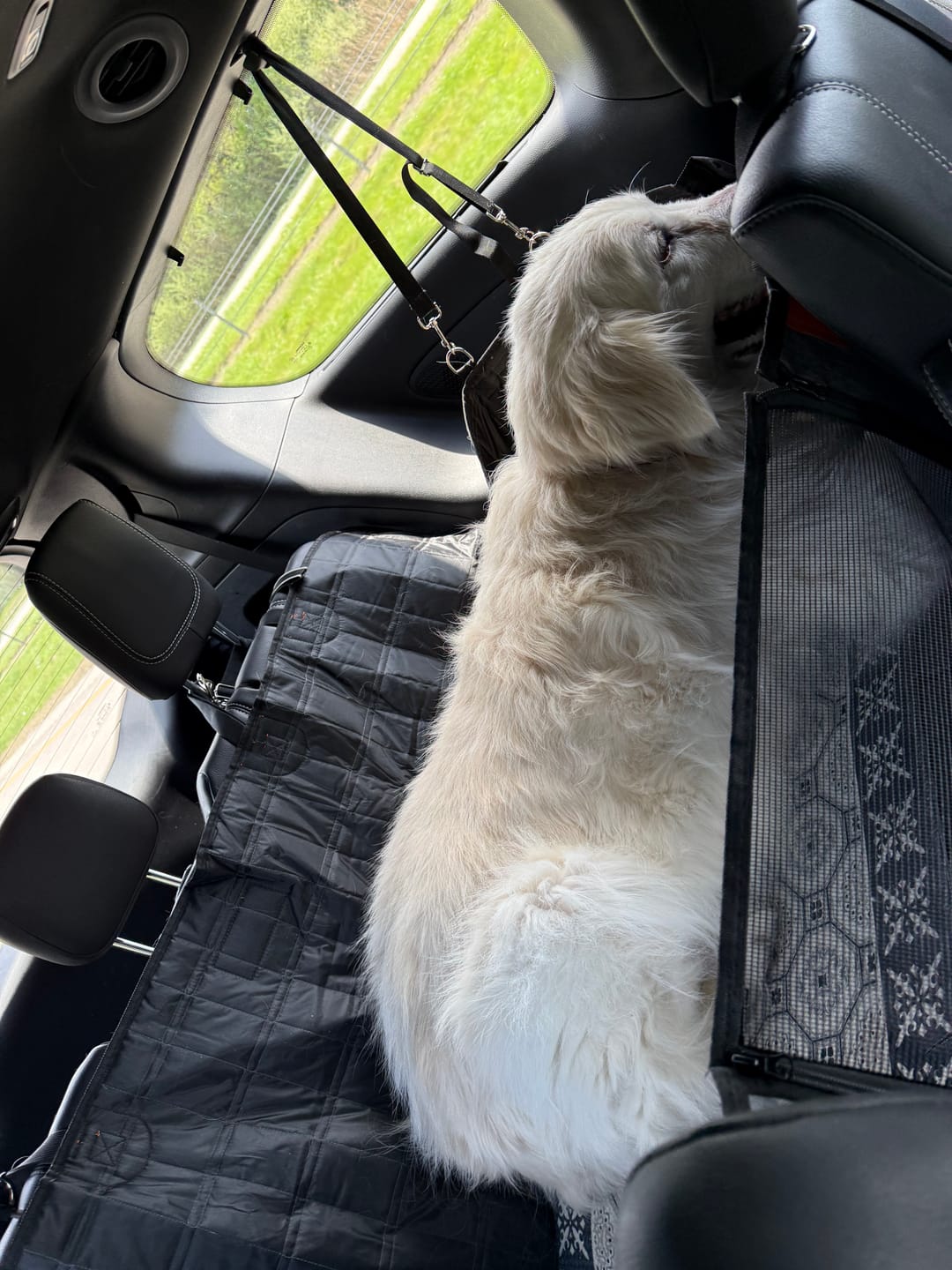 Customer photo review of CozyRider™ 2.0