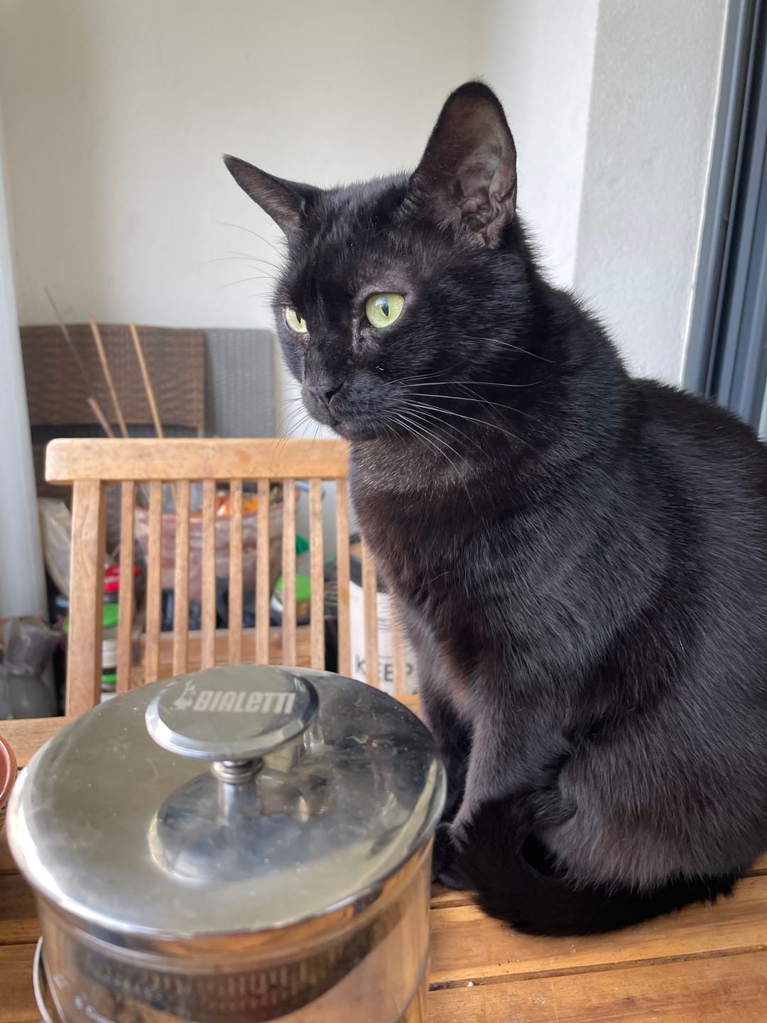 Customer photo review of Croquettes Volaille & Légumes - Chat Sénior