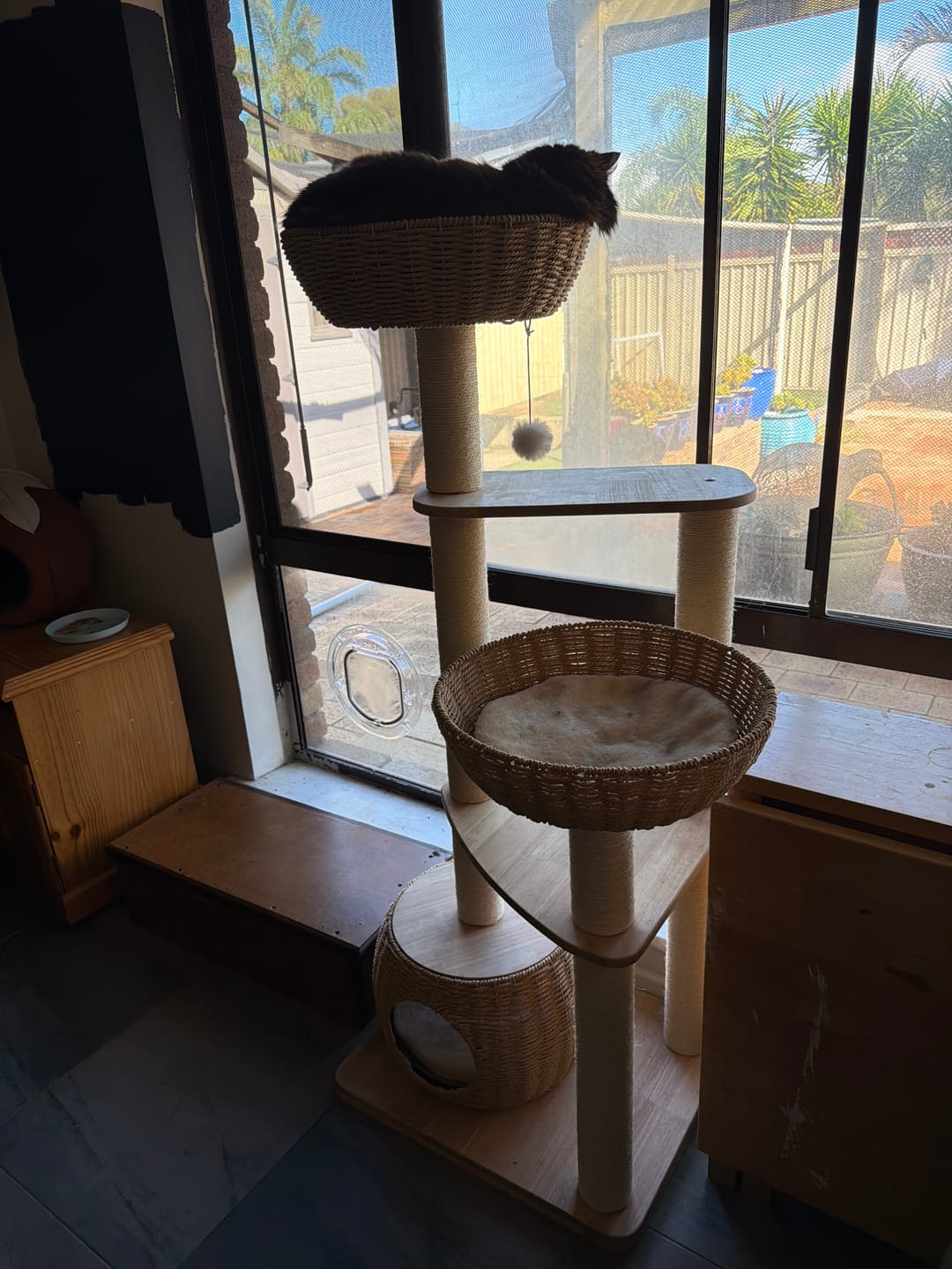 Customer photo review of Oak Cat Tower – 6 Levels with Woven Rattan Beds (90855)