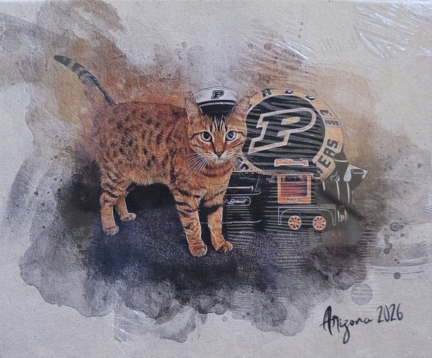Customer photo review of Personalized Sports photo Painting