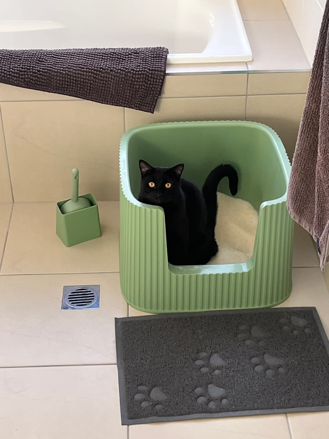 Customer photo review of Michu XXL BoBa Deluxe Cat Litter Box - Spacious Design