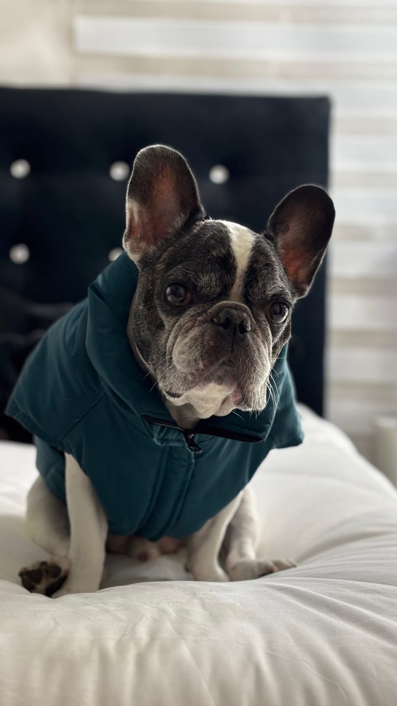Customer photo review of Chaqueta Puffer de Invierno – Verde