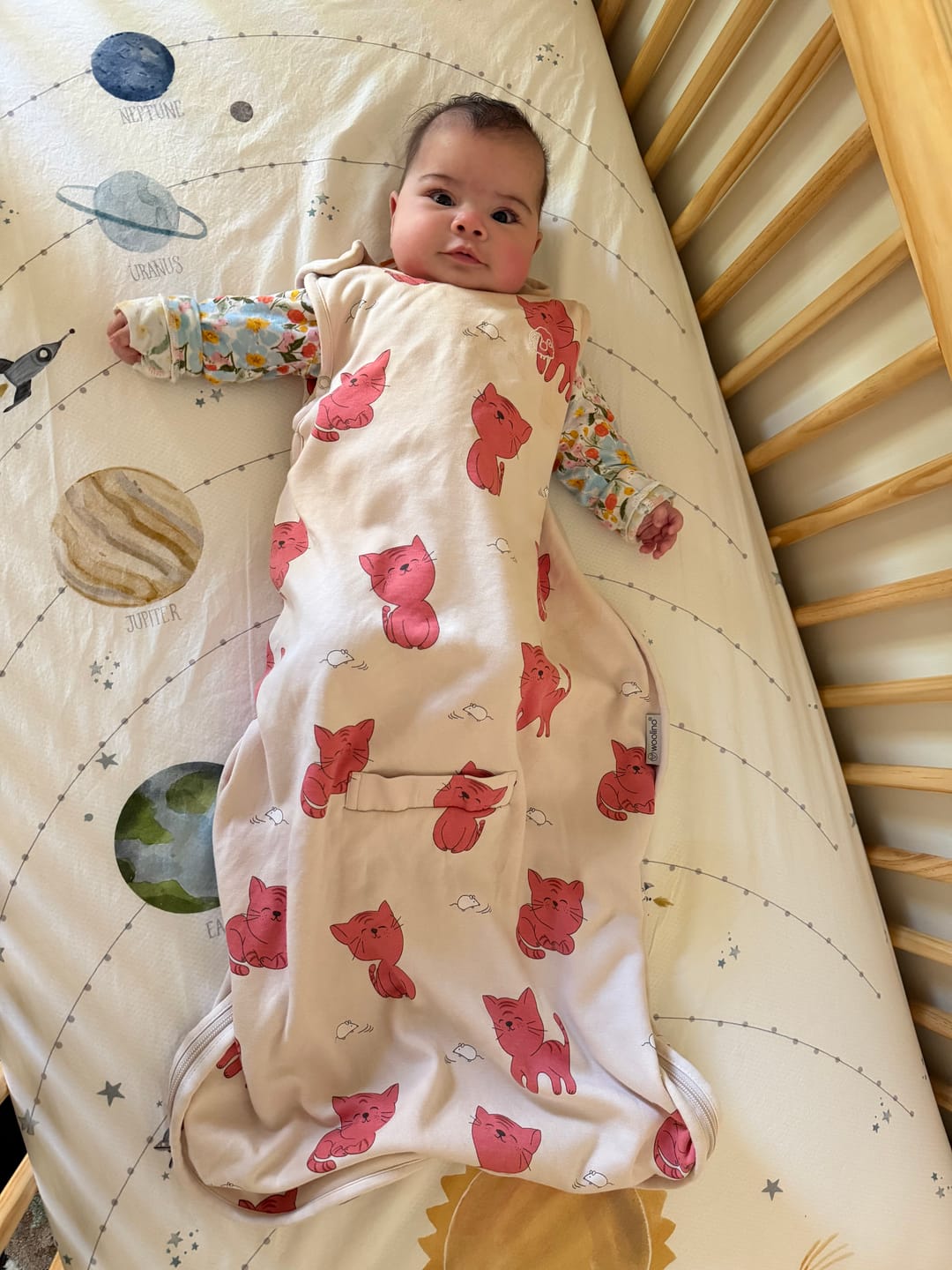 Customer photo review of 4 Season® Ultimate Baby Sleep Bag, Merino Wool & Organic Cotton, Kitten