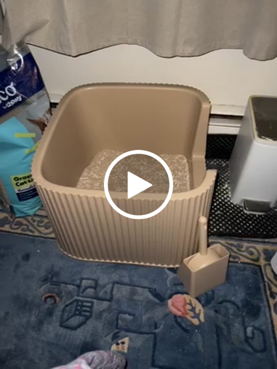 Customer video review of Michu XXL BoBa Deluxe Cat Litter Box - Spacious Design