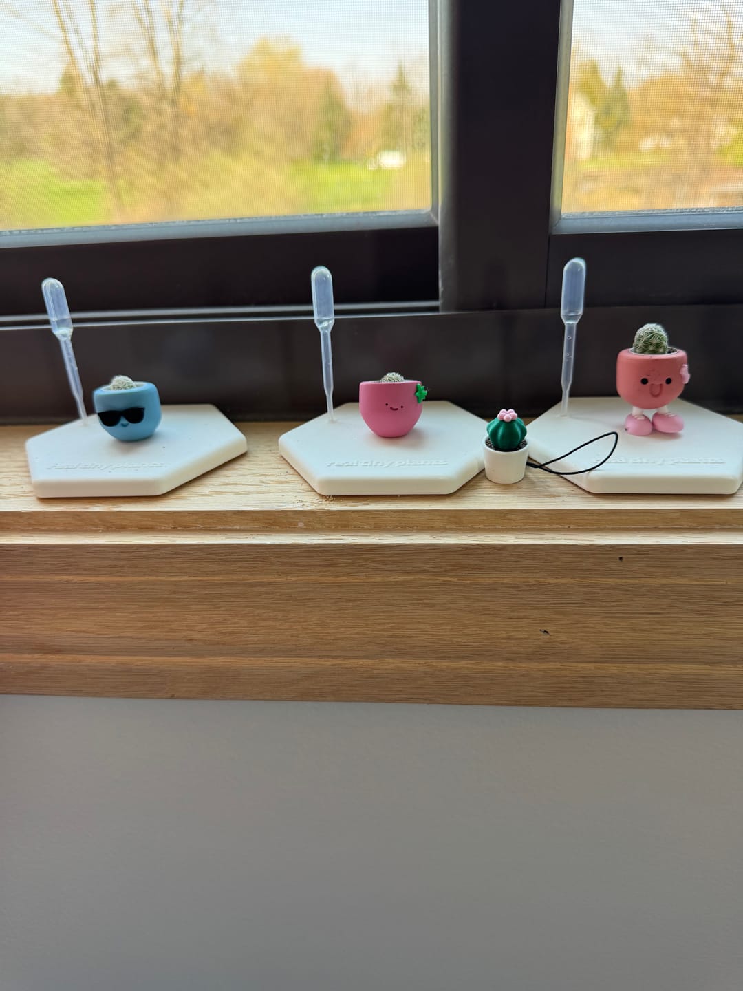 Customer photo review of Mystery Pool