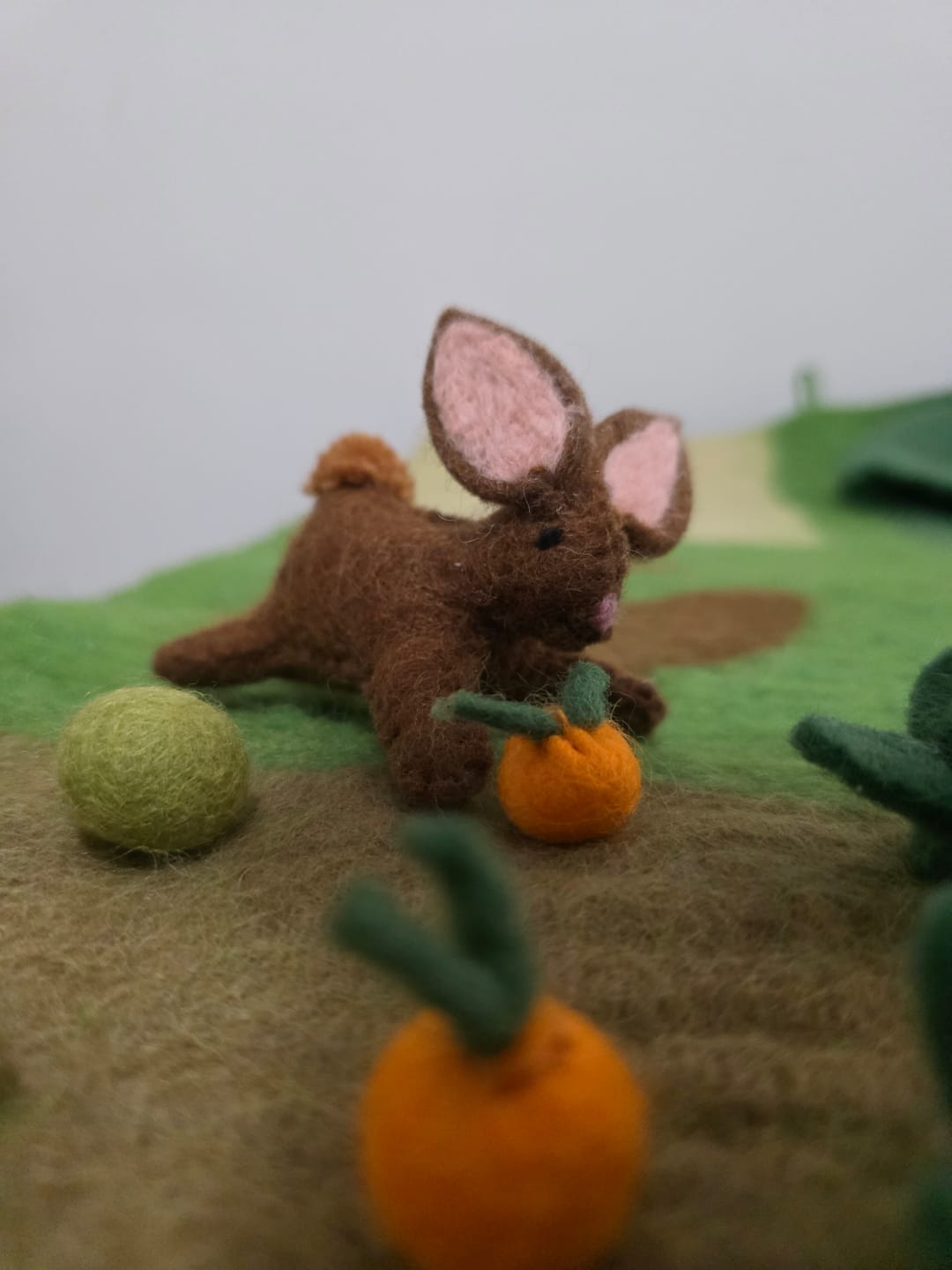 Customer photo review of Felt Rabbit Farm Animal Toy