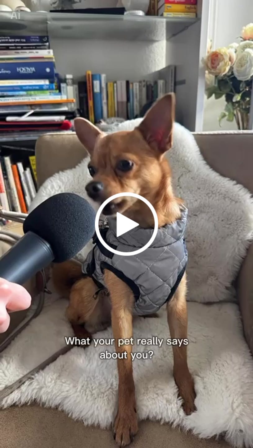 Customer video review of Wurmtest Plus Hund