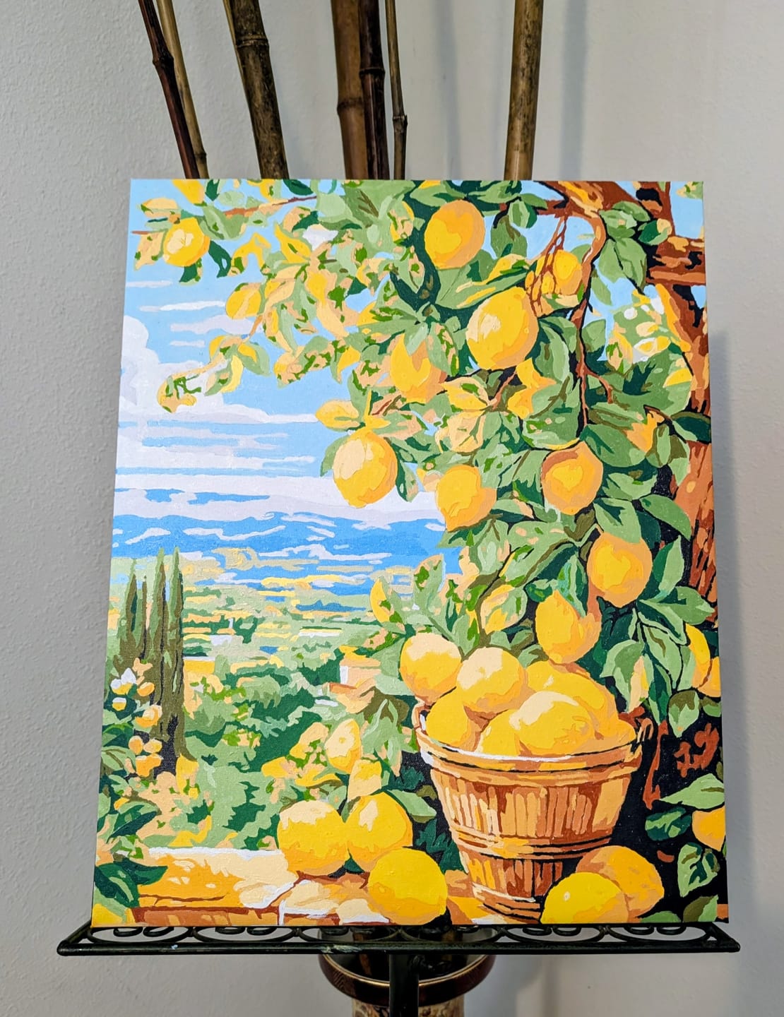 Customer photo review of Bounty Lemons