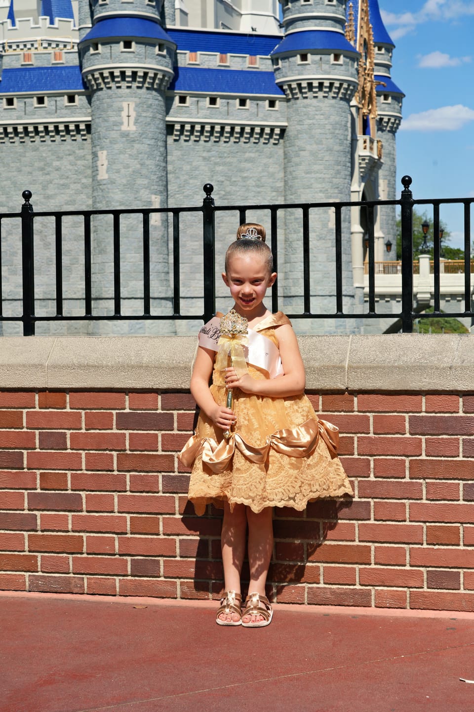 Customer photo review of Portrait Petites Red Rose Princess Twirl Length Gown
